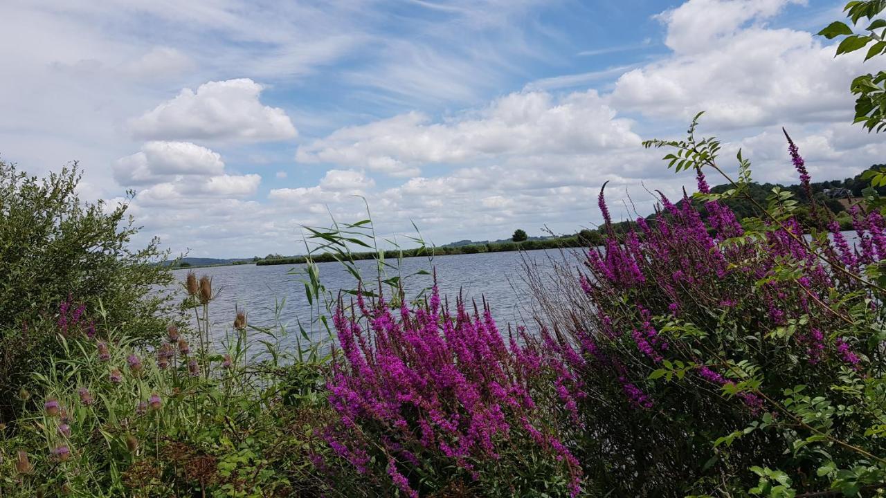 BELLE VISNONIA meublé de caractère Sud Morbihan Béganne Extérieur photo