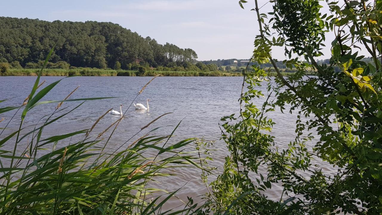 BELLE VISNONIA meublé de caractère Sud Morbihan Béganne Extérieur photo